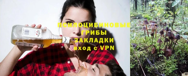 ГАЛЛЮЦИНОГЕННЫЕ ГРИБЫ Коряжма
