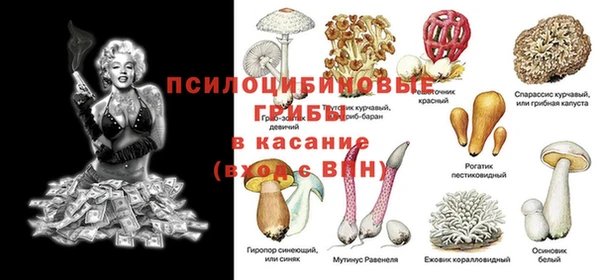 герыч Козельск