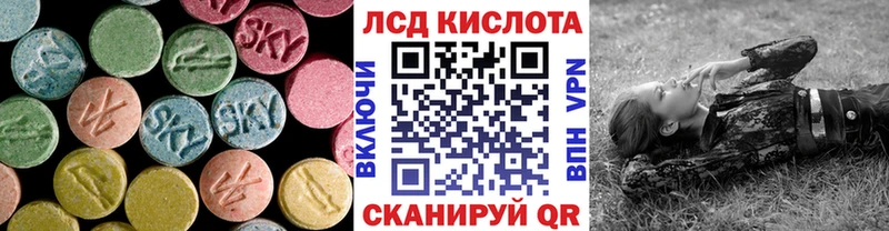 ЛСД экстази ecstasy  где купить наркотик  Ленинградская 