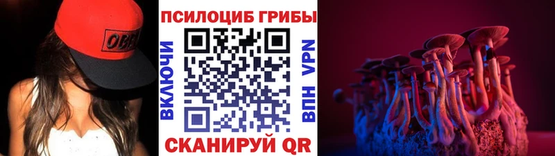 blacksprut рабочий сайт наркота Ленинградская Галлюциногенные грибы прущие грибы